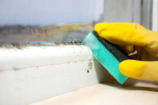 Best Crawl Space Mold Removal  in Highland, AR