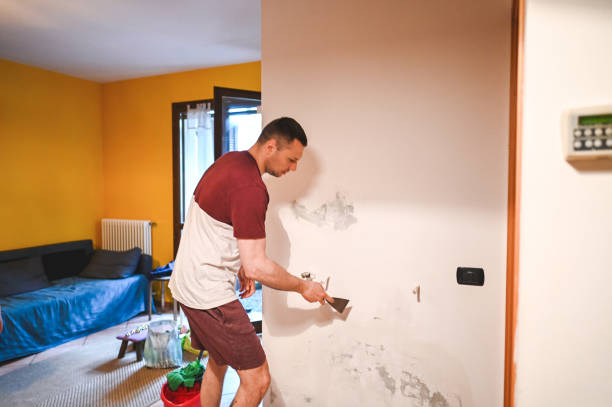 Best Affordable Mold Removal  in Highland, AR